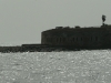 P1010866
